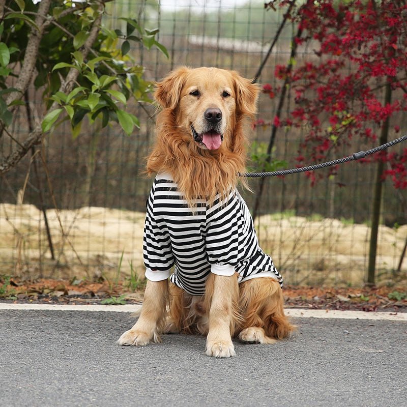 Camiseta Dog Shoulder™ | Roupa Para Cachorro